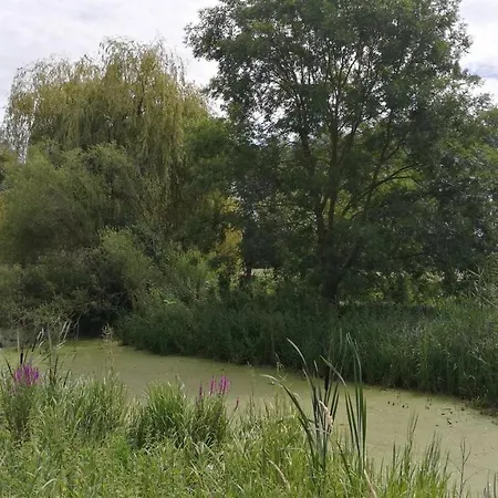 Monteur-, Ferien- Und In Groß Rossau *