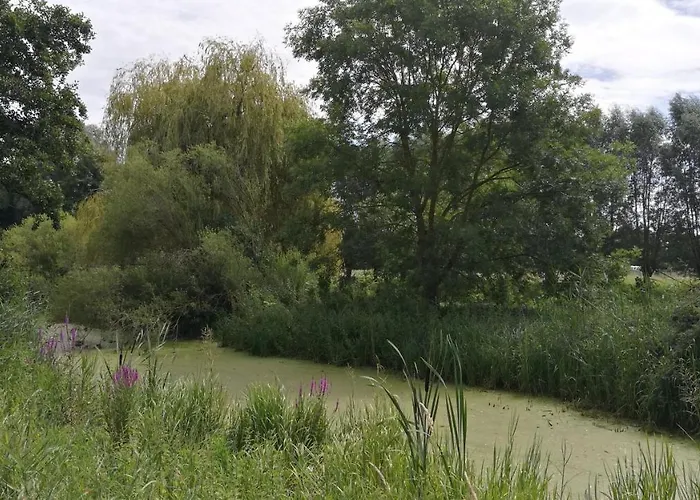 Monteur-, Ferien- Und Gaestehaus In Gross Rossau Im Eg *